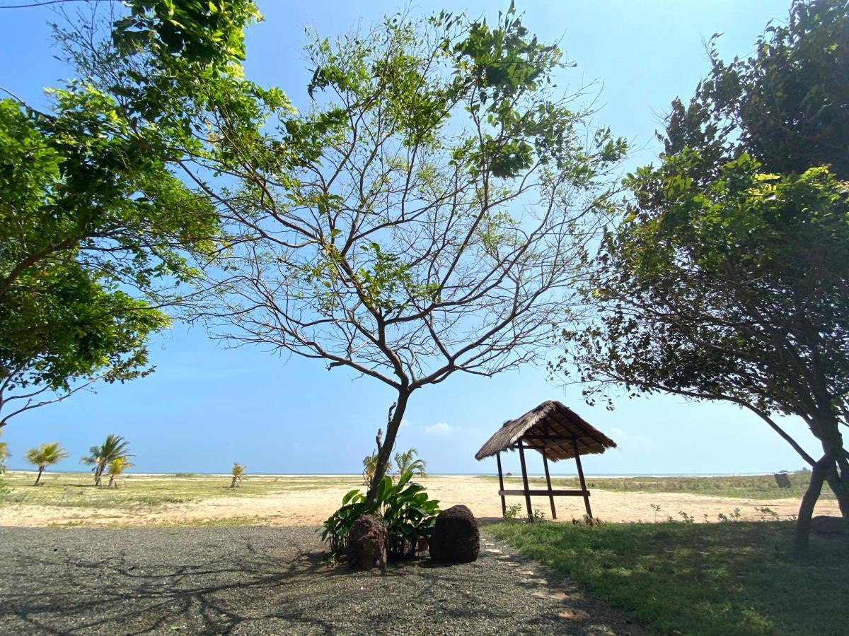 Hotel Dream Garden Arugam Bay Exteriér fotografie