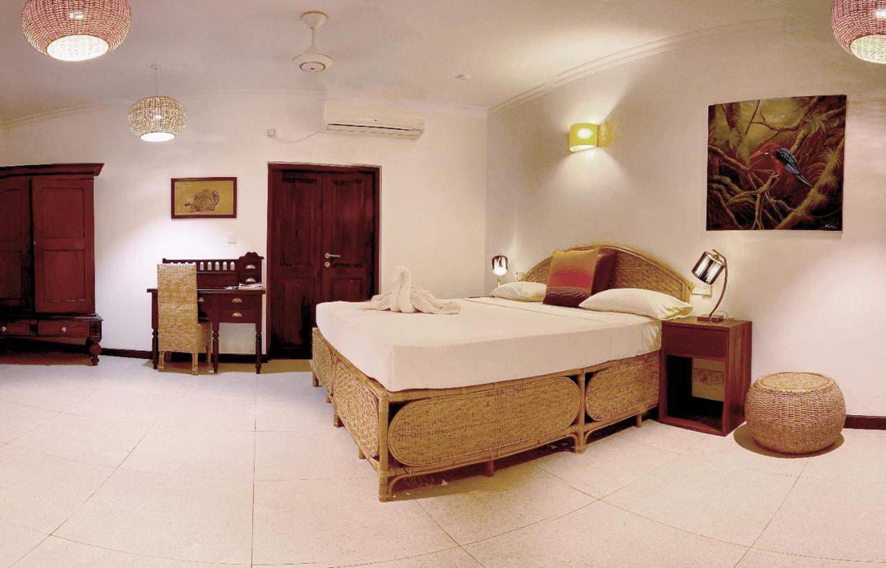 Hotel Dream Garden Arugam Bay Pokoj fotografie